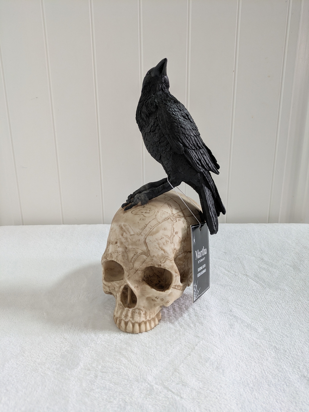 Decorative Black Raven on Skull Figurine - Home Accents